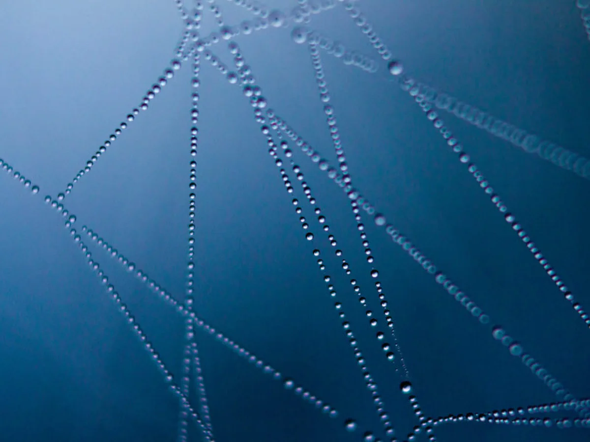 Building a Better Web By Improving Performance and Speed to Enhance User Experience